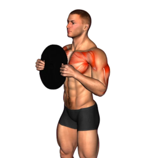 ENTRENAMIENTO DE FUERZA PARA GANAR MÚSCULO