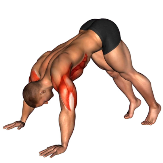HIPERTROFIA MUSCULAR PARA AVANZADOS (SIN EQUIPO - 6 DÍAS)