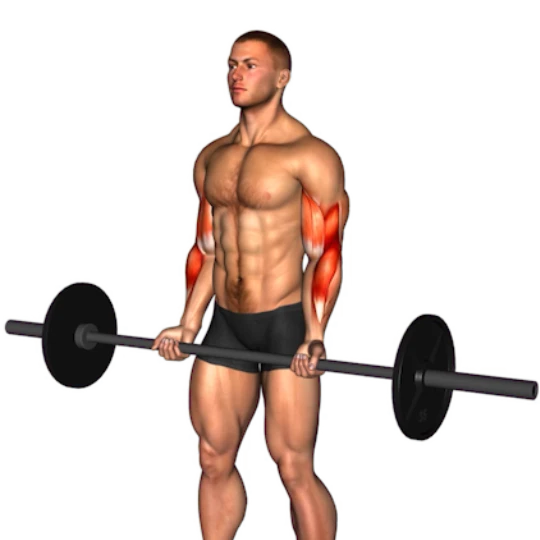 ENTRENAMIENTO PPL PARA HOMBRES (6 DÍAS)