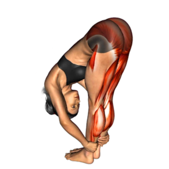 ABS, PIERNAS & GLÚTEOS DESDE CASA (PRINCIPIANTE)