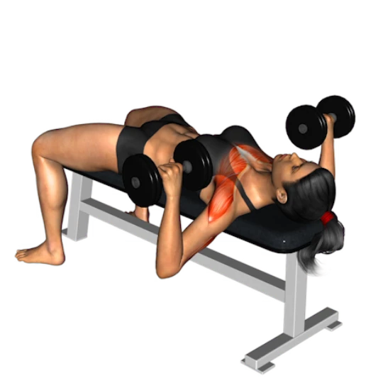 ENTRENAMIENTO DE TORSO-PIERNA PARA MUJERES (4 DÍAS)