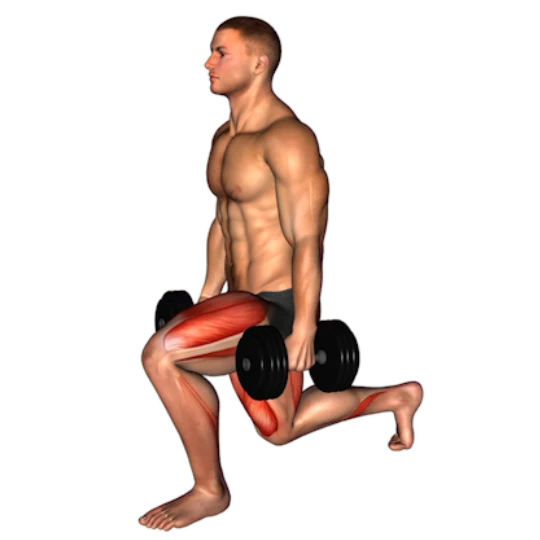 TONIFICA TU CUERPO CON MANCUERNAS (5 DÍAS)