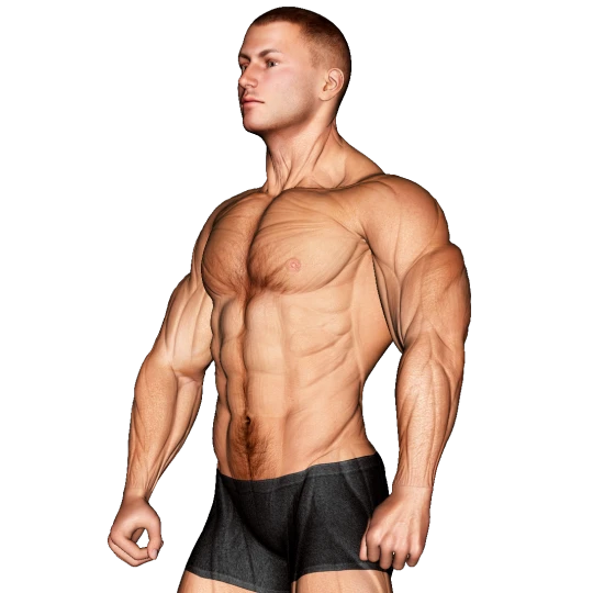 ENTRENAMIENTO DEFINICIÓN MUSCULAR INTENSO (5 DÍAS)