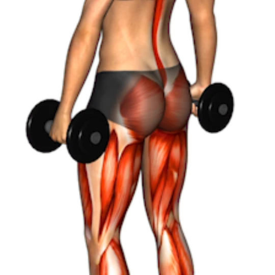 RETO: PIERNAS Y GLÚTEOS CON MANCUERNAS