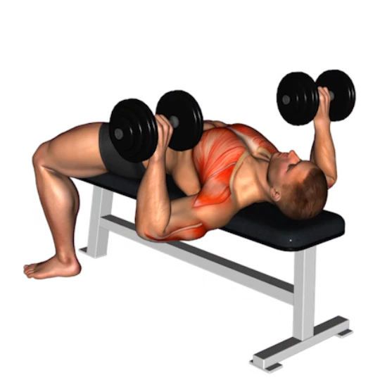 CUERPO COMPLETO PARA PRINCIPIANTES