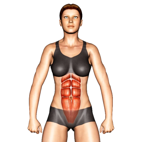 PIERDE PESO Y MARCA ABDOMEN PARA PRINCIPIANTES I