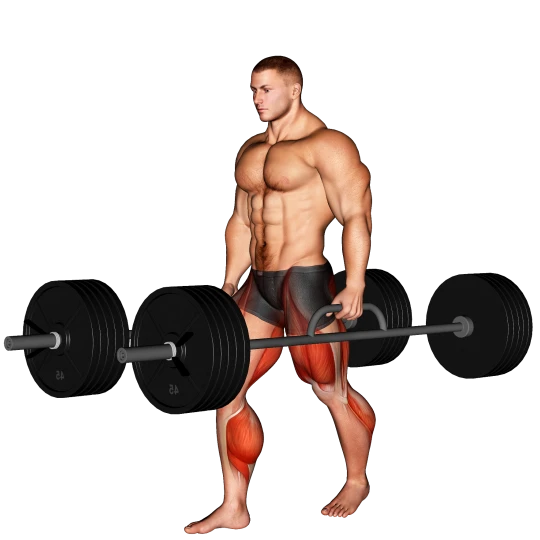 GANAR MASA MUSCULAR AVANZADO (5 DÍAS)