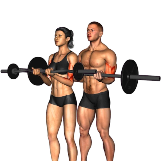 CUERPO COMPLETO SÓLO CON BARRA (3 DÍAS)