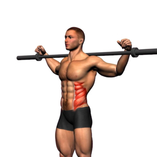 CUERPO FITNESS EN CASA CON BARRA Y MANCUERNAS (4 DÍAS)