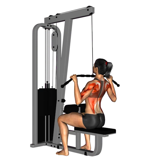 CUERPO COMPLETO PARA PRINCIPIANTES (MUJERES)