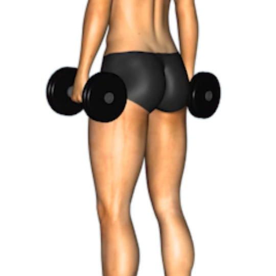 CUERPO COMPLETO DESDE CASA CON MANCUERNAS (3 DÍAS)