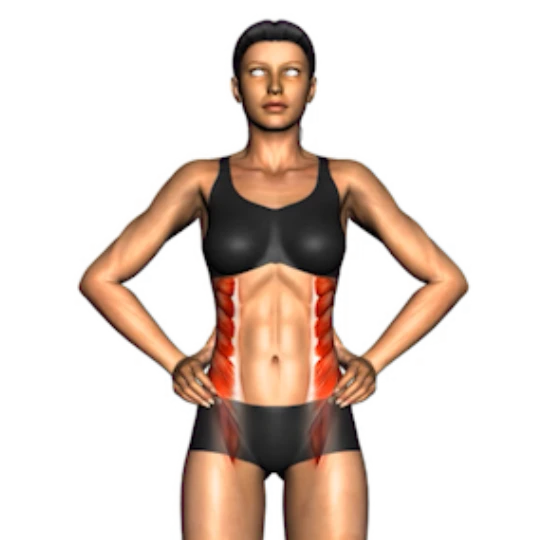 MUJER FITNESS PARA PRINCIPIANTES I (SIN EQUIPO)