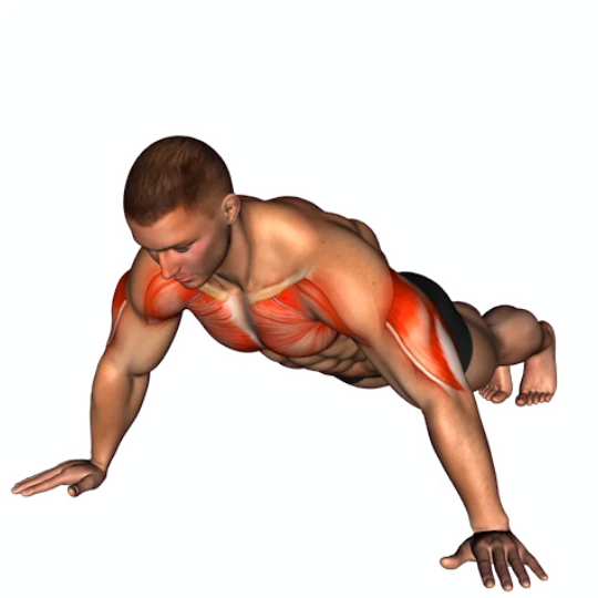 ENTRENAMIENTO TORSO-PIERNA EN CASA
