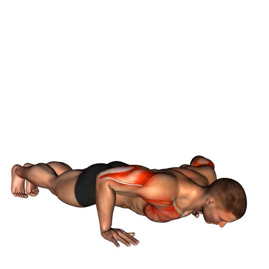 Flexiones de brazo (pecho)
