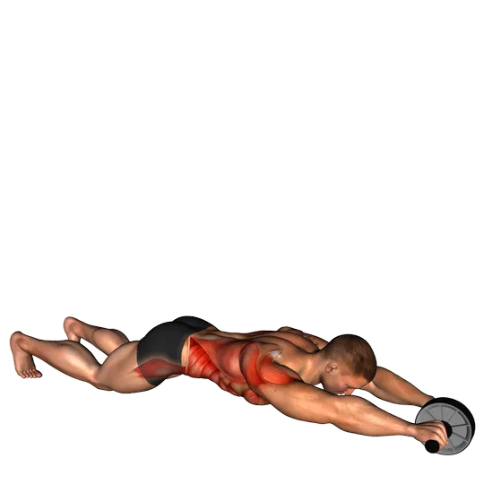 Rueda abdominal