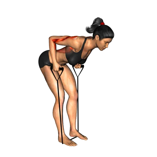 Banda inclinada sobre la fila