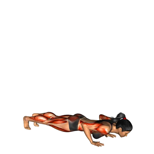 Burpee