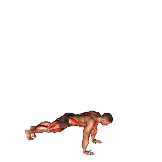 Burpee