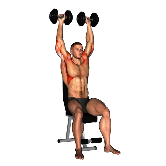 Press arnold con mancuernas