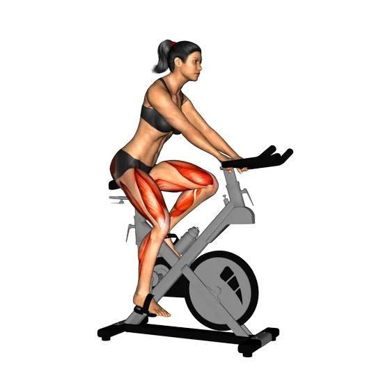 Correr en Bicicleta fija