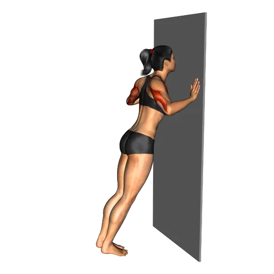 Flexiones en la pared