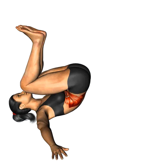 Crunch inverso (rodilla doblada)