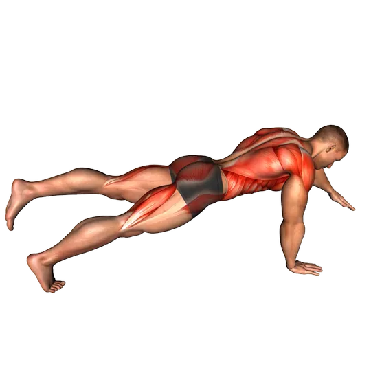Plancha con elevación de piernas y manos