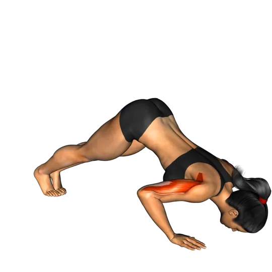 Pike Push-up