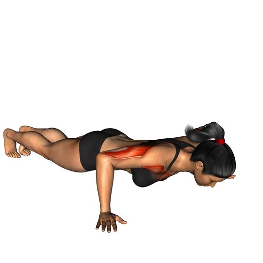 Flexiones de brazo (pecho)