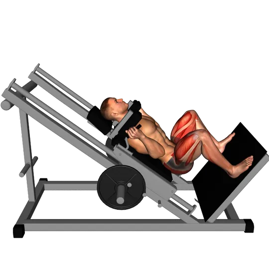 Hack Squat